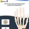 OsteoMate Wrist Tech Guide