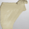 Glenoid Sawbones