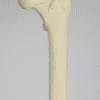 Hip Sawbone