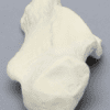 Talus Sawbone