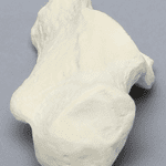 Talus Sawbone