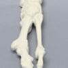 Kissloc Sawbone