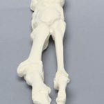 Kissloc Sawbone